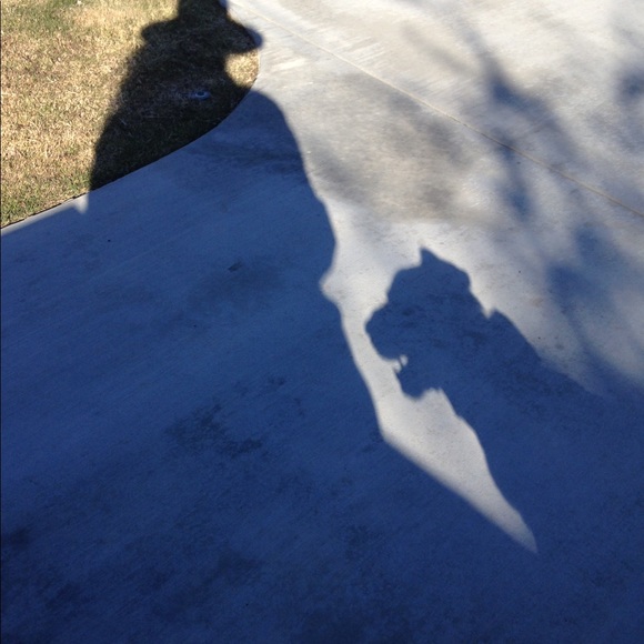 Meet your Posher, Patricia - Picture 1 of 1